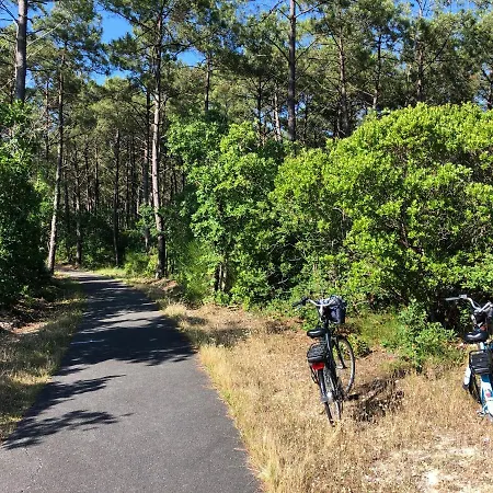 T1bis Centre Les Bains *